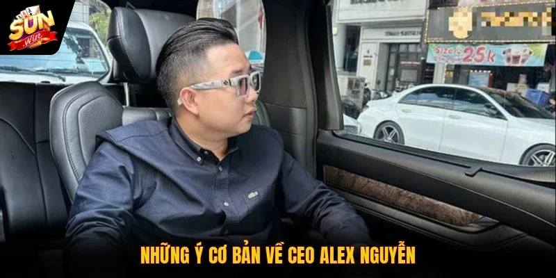 Những ý cơ bản về CEO Alex Nguyễn